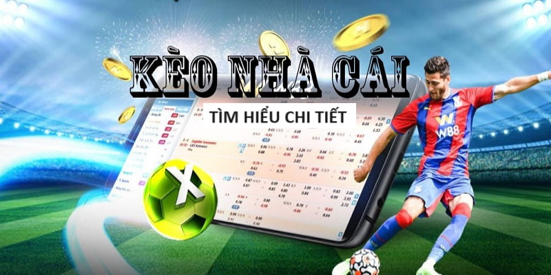 NBET-Chơi cược an toàn với trang xanh chín đáng tin cậy!